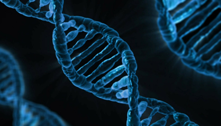 Científicos identifican un nuevo nivel de información en la secuencia del ADN