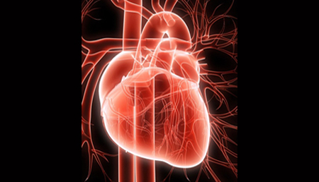 El CSIC participa en el desarrollo de un dispositivo para detectar la insuficiencia cardíaca a partir de la saliva