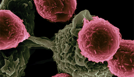 Investigadores del INA descubren la capacidad de las nanopartículas de oro para activar fármacos anticancerígenos en el interior de los tumores