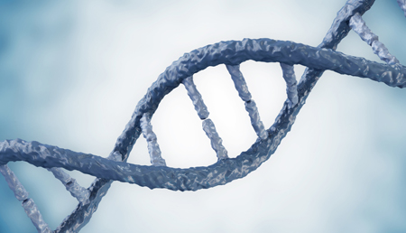 Dos variantes tumorales de la polimerasa mu dificultan la reparación de dobles roturas de DNA