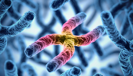 El gen Arc podría codificar para una proteína de origen viral