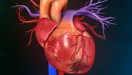Una nueva técnica mediante bioimpedancia podría detectar la cicatriz post infarto de miocardio