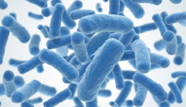 Informe Anticipando sobre Microbioma