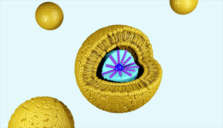 Diseño de nanopartículas para prevenir la inmunogenicidad de proteínas terapéuticas