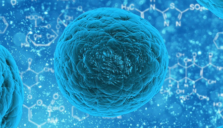 Gdap1 y MiD51, determinantes en el inicio de la conversión de células adultas en células madre pluripotentes